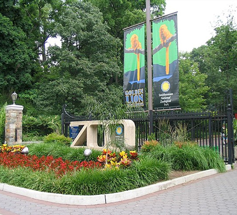 national-zoo